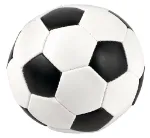 Bild von Fussball Softball, VE-12