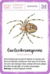 Bild von Expedition Natur Quartett Minimonster, VE-1