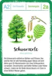Bild von Expedition Natur Quartett Bäume, VE-1