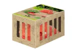 Bild von Dino Fingerbeisser, VE-16