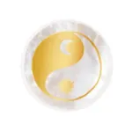Bild von Omm for you Halbedelstein Yin Yang, VE-16
