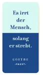Bild von moses. libri_x Radierer Zitate Goethe, VE-16