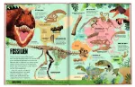 Bild von Mein saurierstarker Dino-Atlas - Eine Weltreise zu den Giganten der Urzeit, VE-1