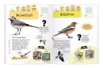Bild von Expedition Natur Rätseln, Stickern, Bestimmen - Vögel, VE-1