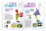 Bild von Expedition Natur Rätseln, Stickern, Bestimmen - Blumen, VE-1