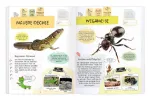 Bild von Expedition Natur Rätseln, Stickern, Bestimmen - Insekten & Co. , VE-1