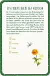Bild von Blatt & Blüte Das grosse Gartenquiz, VE-1