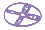 Bild von Krabbelkäfer Propeller-Fangspiel, VE-2