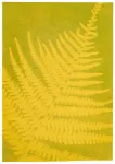 Bild von PhänoMINT Buntes Sonnendruckpapier, VE-12