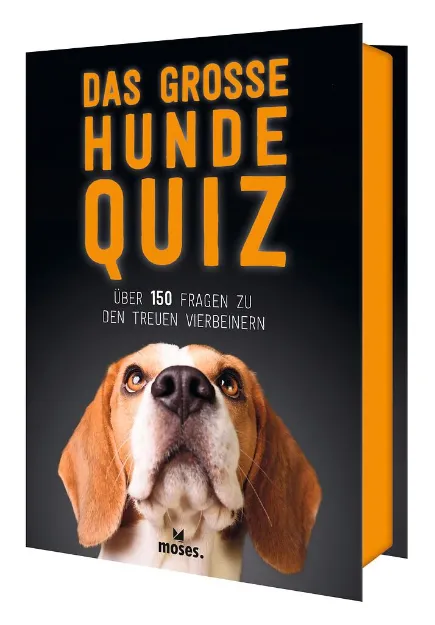 Bild von Das grosse Hunde Quiz, VE-1