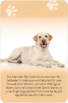 Bild von Das grosse Hunde Quiz, VE-1