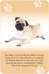 Bild von Das grosse Hunde Quiz, VE-1