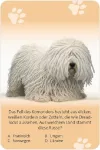 Bild von Das grosse Hunde Quiz, VE-1