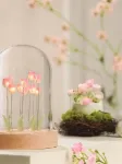 Bild von Lichterkuppel Tulpenfeld, VE-6
