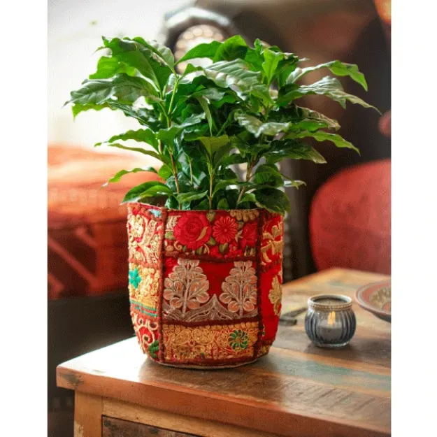 Bild von Aufbewahrung / Pflanzentopf Sari Chic