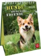 Bild von Wochenkalender 2026: Hunde sind die besten Freunde