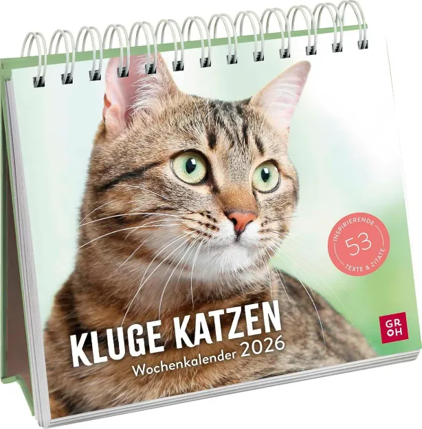 Bild von Wochenkalender 2026: Kluge Katzen