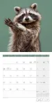 Bild von Dancing Animals Kalender 2026 - 30x30
