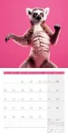 Bild von Dancing Animals Kalender 2026 - 30x30