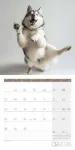Bild von Dancing Animals Kalender 2026 - 30x30