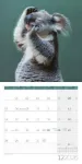 Bild von Dancing Animals Kalender 2026 - 30x30