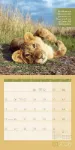 Bild von Keep Smiling! Kalender 2026 - 30x30