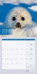 Bild von Keep Smiling! Kalender 2026 - 30x30