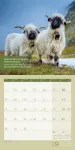 Bild von Keep Smiling! Kalender 2026 - 30x30