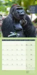 Bild von Keep Smiling! Kalender 2026 - 30x30
