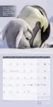 Bild von Keep Smiling! Kalender 2026 - 30x30