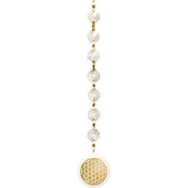 Bild von Fenster-Kristalle Blume des Lebens