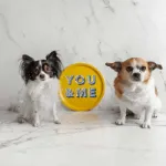 Bild von Asta Barrington You & me / yellow Tray Ø 31 - Jamida of Sweden