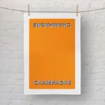 Bild von Asta Barrington Champagne/ satsuma orange Tea Towel 70 x 50cm - Jamida of Sweden