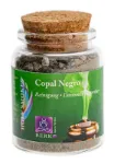 Bild von Copal Negro (Saumerio) - Reine Harze
