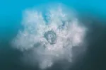 Bild von Türkise Essenz - SeelenTor Essenz
