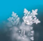 Bild von Türkise Essenz - SeelenTor Essenz
