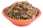 Bild von Katzenminze 25g