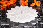 Bild von White Lotus