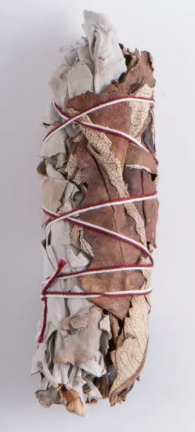 Bild von Weisser Salbei/Yerba Santa