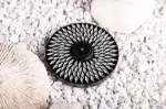 Bild von Black Aster