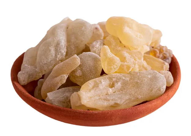 Bild von Olibanum Dalzielli