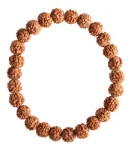 Bild von Rudraksha Armband
