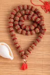 Bild von Rudraksha Mala