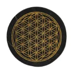 Bild von Shungit Platte