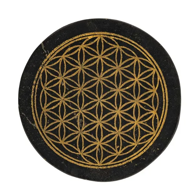 Bild von Shungit Platte