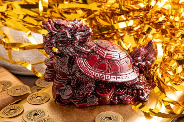 Bild von Drachenschildkröte, rot