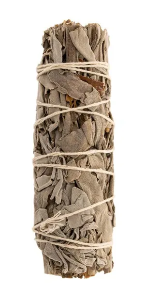 Bild von Weisser Salbei mini Smudge einzeln