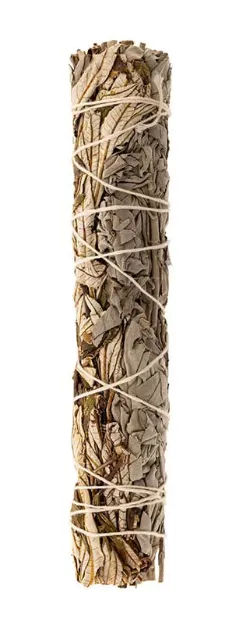 Bild von Weisser Salbei/Yerba Santa