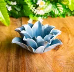 Bild von Lilie blau, klein