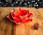 Bild von Rose rot, klein